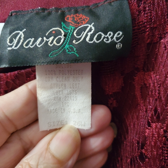 This a beautiful dress by David Ross. The size is 26w . - Picture 4 of 5